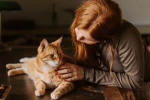 chat comprend tes émotions