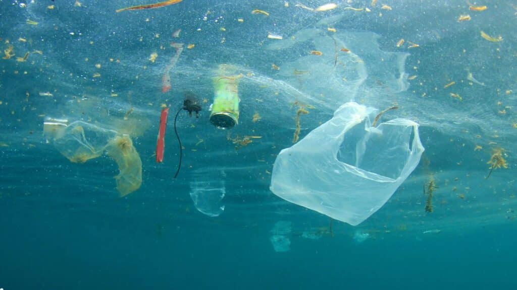 pollution plastique océanique