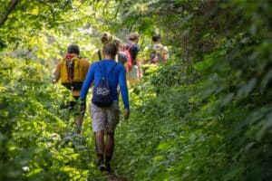 tenue promenade en forêt