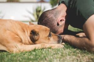 chien lui montrait de l’affection