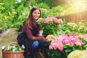 créer un jardin hypoallergénique
