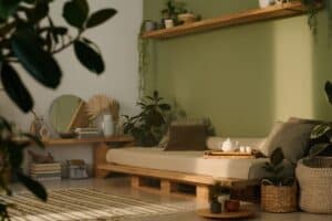 elle adore l’ombre, nettoie l’air