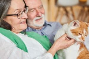 seniors 4 races de chats