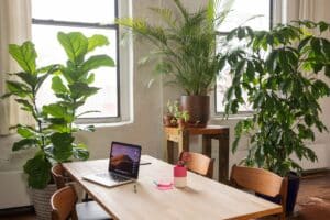 stimuler croissance plantes