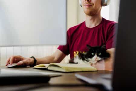télétravail et animaux