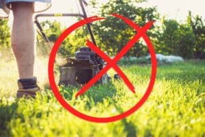 tondre sa pelouse en avril