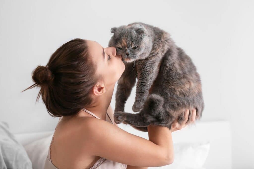 avoir chat chien rendrait heureux