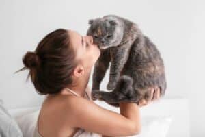 vieillissement du chat